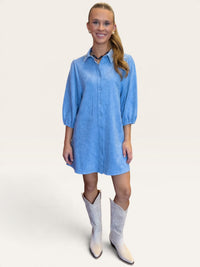 Sky Faux Suede Mini Dress